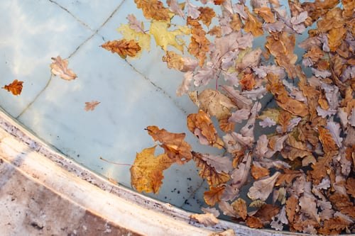 Gutters Are Part of the Roof: What an Overflowing Run Actually Costs You